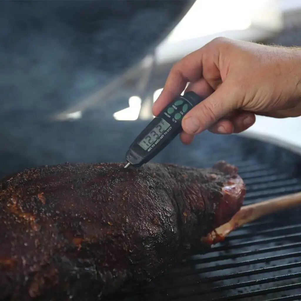 Quick-Read Thermometer