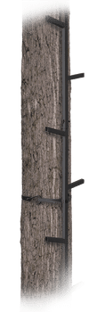 Big Game BGM_CS050 Quick_Stick 20' Climbing Stick _ 5 Sections