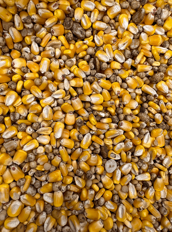 Triple Grip Deer Feed