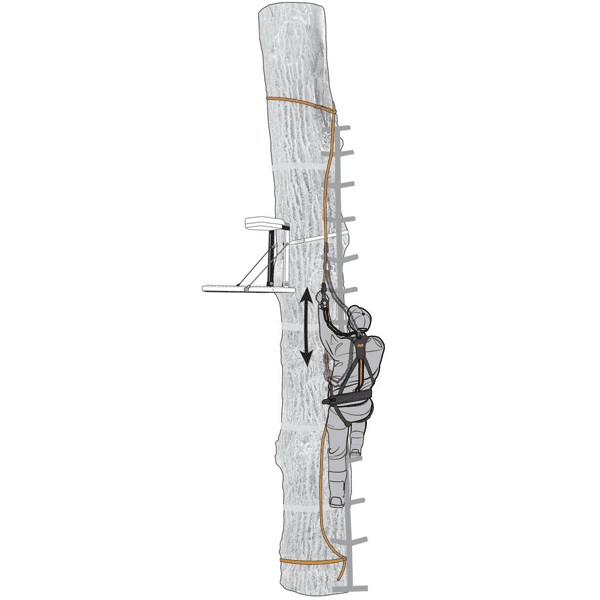 SAFE-LINE - 30' BRAIDED NYLON (3 PACK)