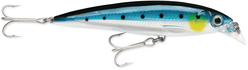 X-Rap Saltwater 12 Blue Sardine