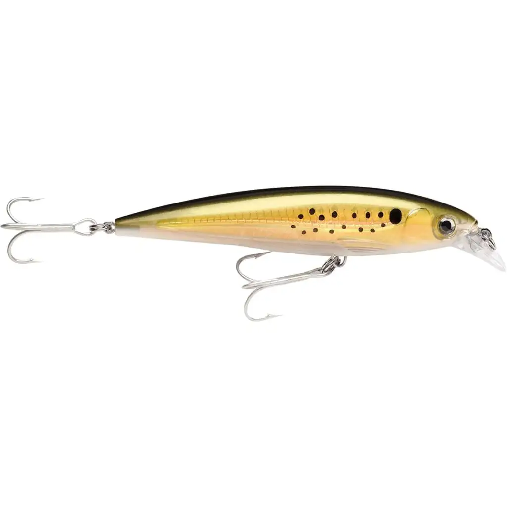 X-Rap Saltwater 08 Olive Green