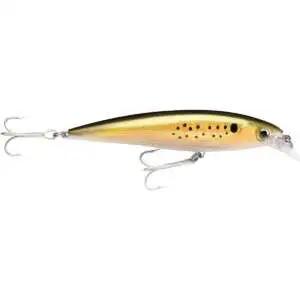 X-Rap Saltwater 08 Olive Green