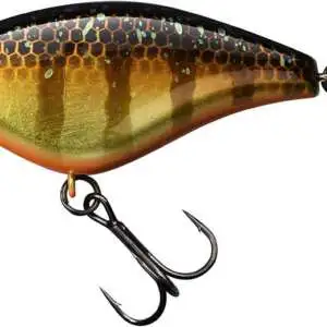 BLING 55 GOLD GILL