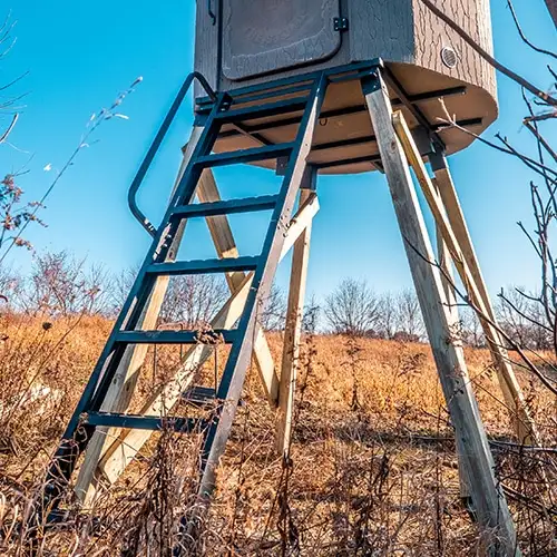 12' Ladder