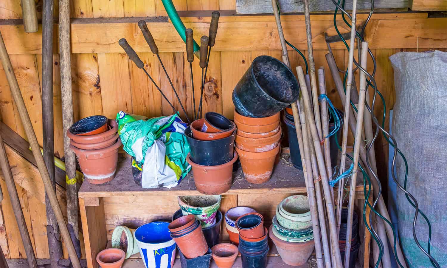 Cluttered wooden shed shelves holding stacked terracotta and plastic pots, garden tools, and a bag of soil