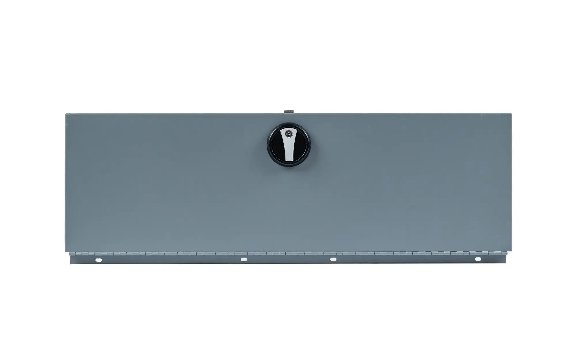 Locking Storarage Door – 37″W