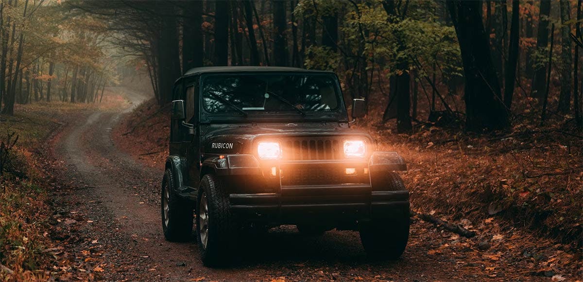Jeep Wrangler Rubicon with headlights on, parked on a forest dirt road surrounded by bare autumn trees.