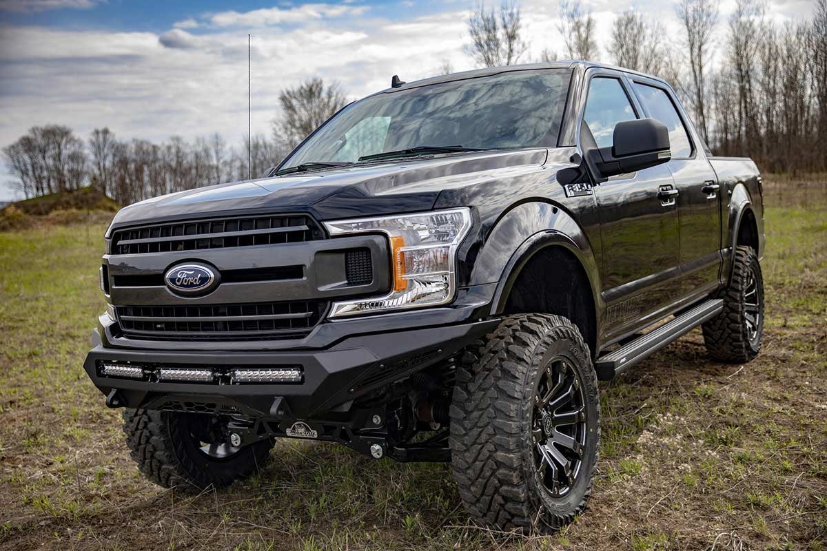 Black Ford F-150 with lifted suspension and oversized all-terrain tires parked on grassy field with bare trees in background.