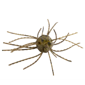Strike King Tumbleweed Floating 3" - Green Pumpkin