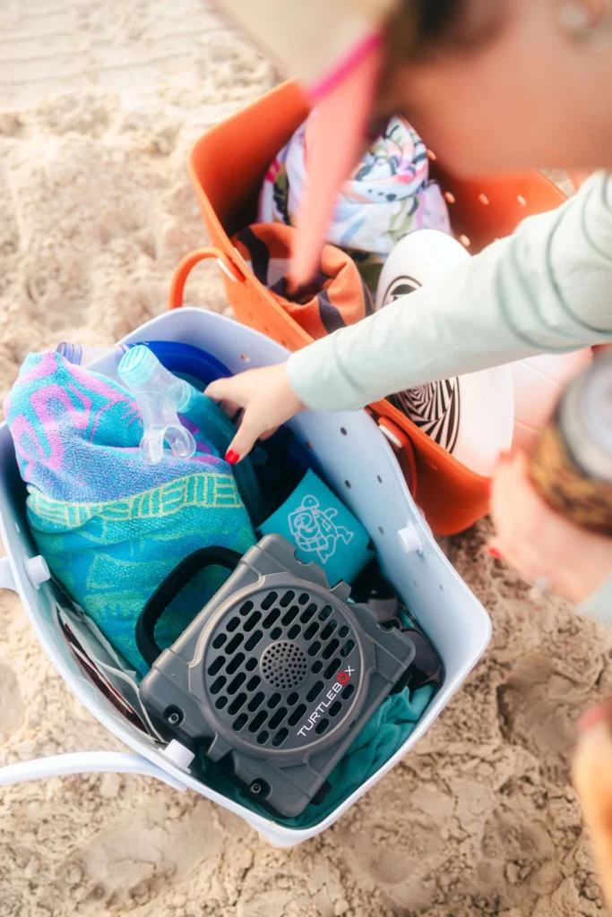 Turtlebox Cub Speaker - Gray