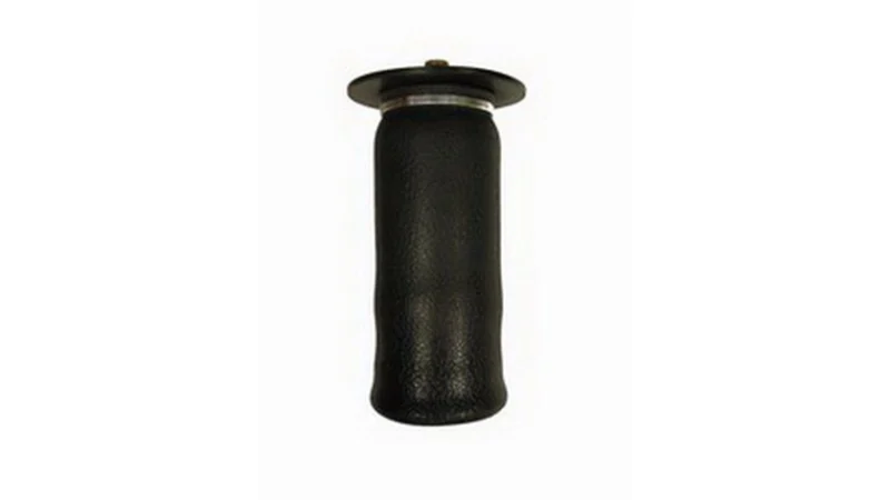 Air Lift 50256 - Replacement Air Springs