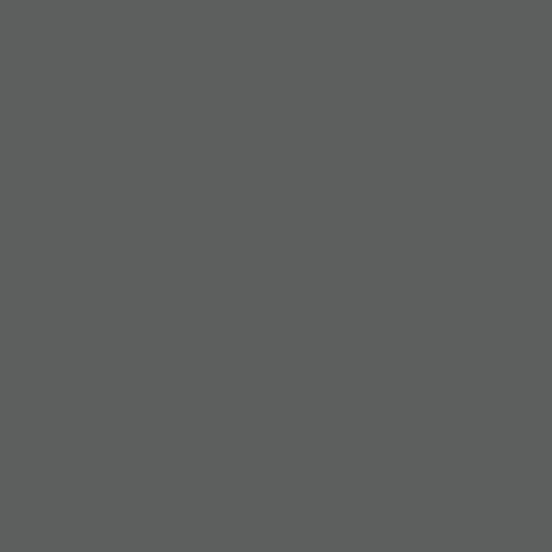 Covercraft DDS322CH - Door Protector, Charcoal, Endura