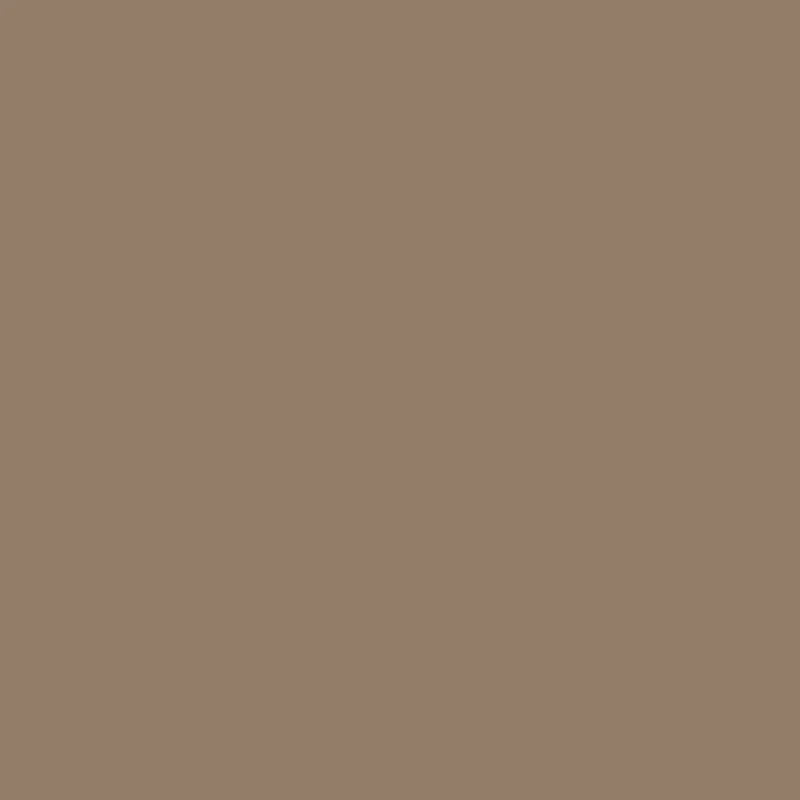 Covercraft DDS322TN - Door Protector, Tan, Endura