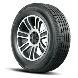 54251