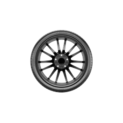Pirelli 4219900 - P Zero MS