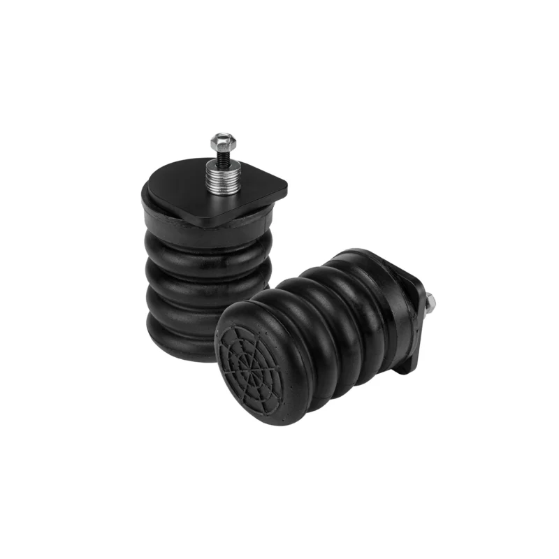 SuperSprings SSR-209-47 - SumoSprings Rear