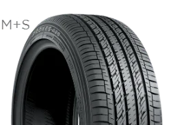 Toyo Proxes A20