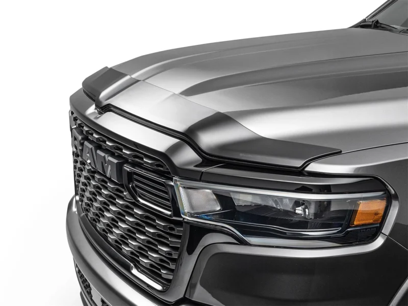 WeatherTech 55176IM - Bug Deflector
