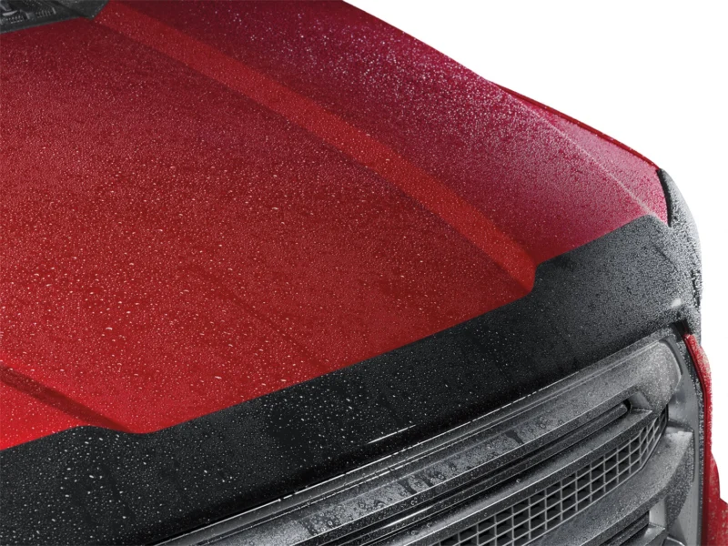 Weathertech 55200 - Bug Deflector, Dark Smoke, Low Profile