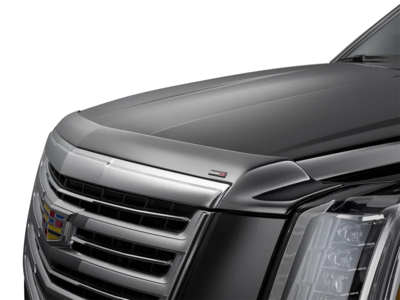WeatherTech 55261 - Bug Deflector