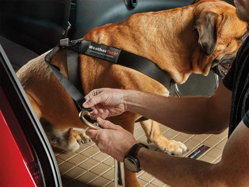 Weathertech 84PH2427BK - Pet Gear