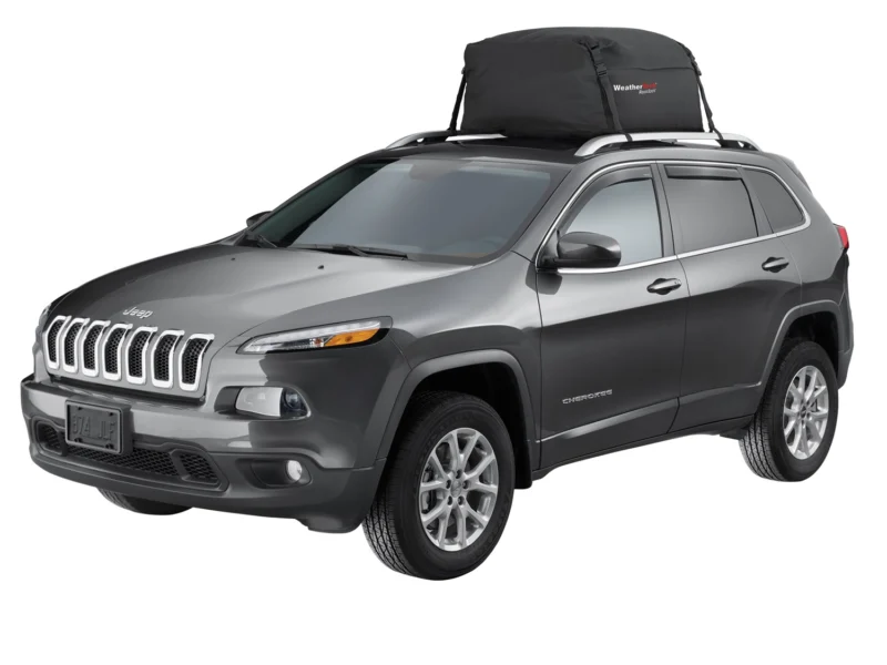 Weathertech 8WTRTC3BX - Cargo Bag